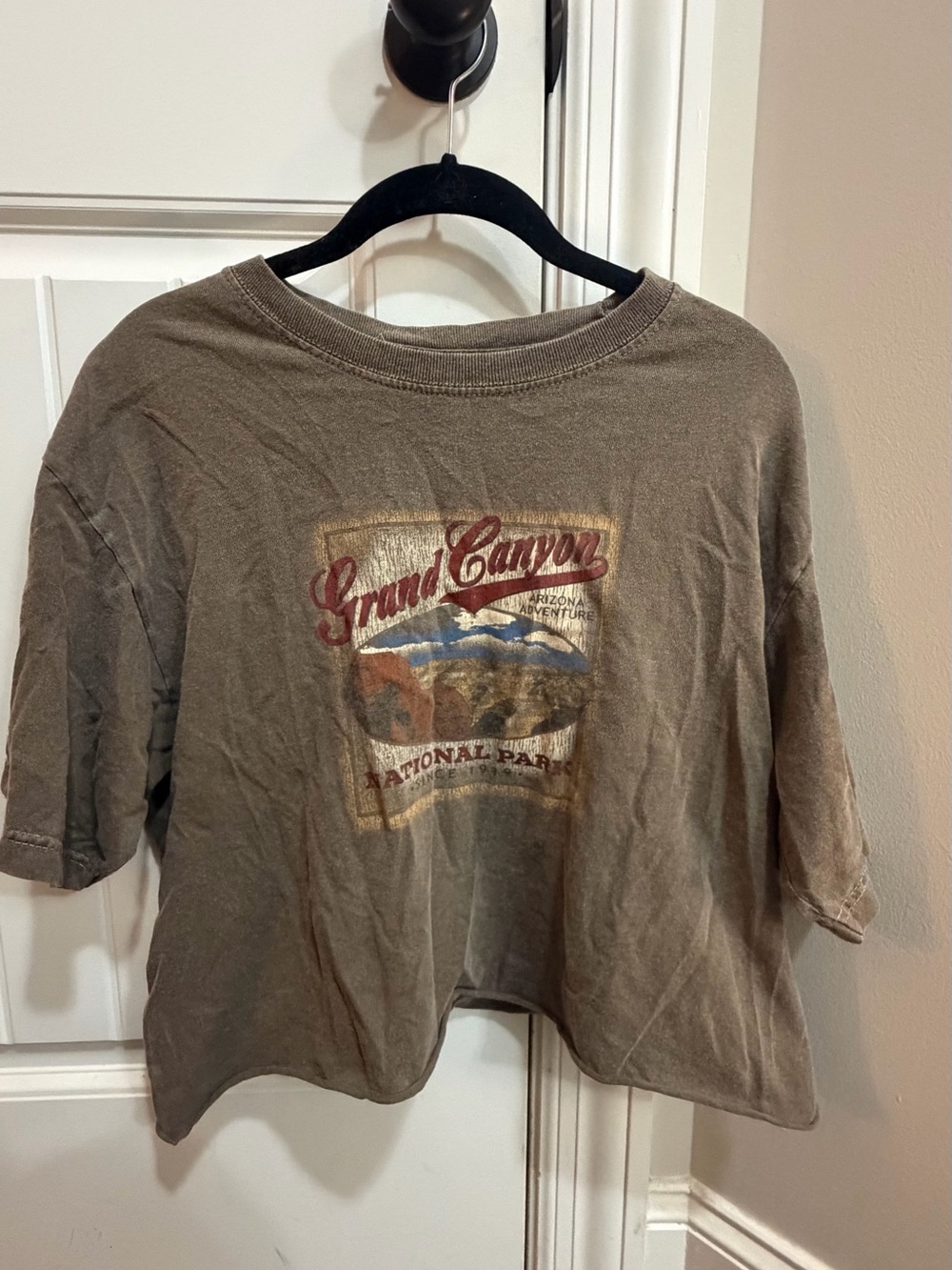 Grand Canyon Graphic Cropped Tee - Taupe